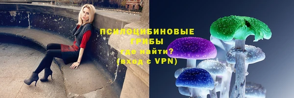 apvp Алексеевка