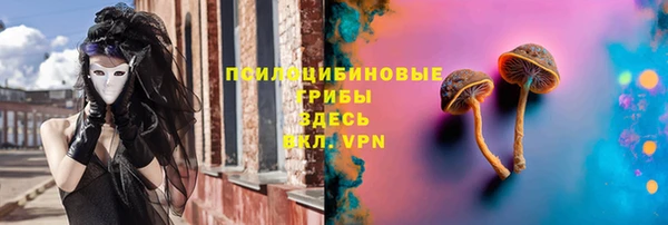 apvp Алексеевка