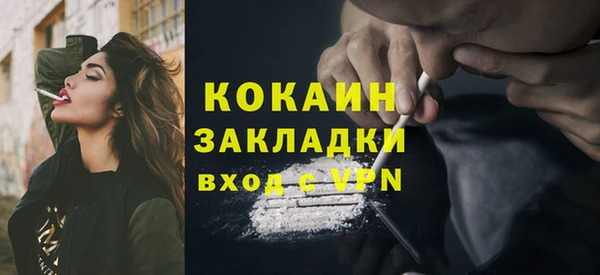 дживик Алексин